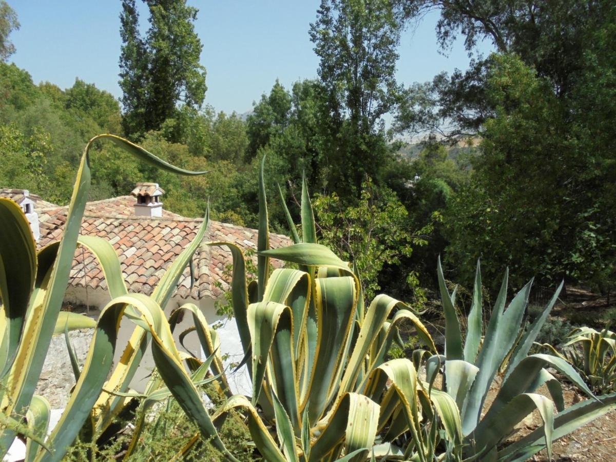 El Pastor Villa Grazalema Luaran gambar