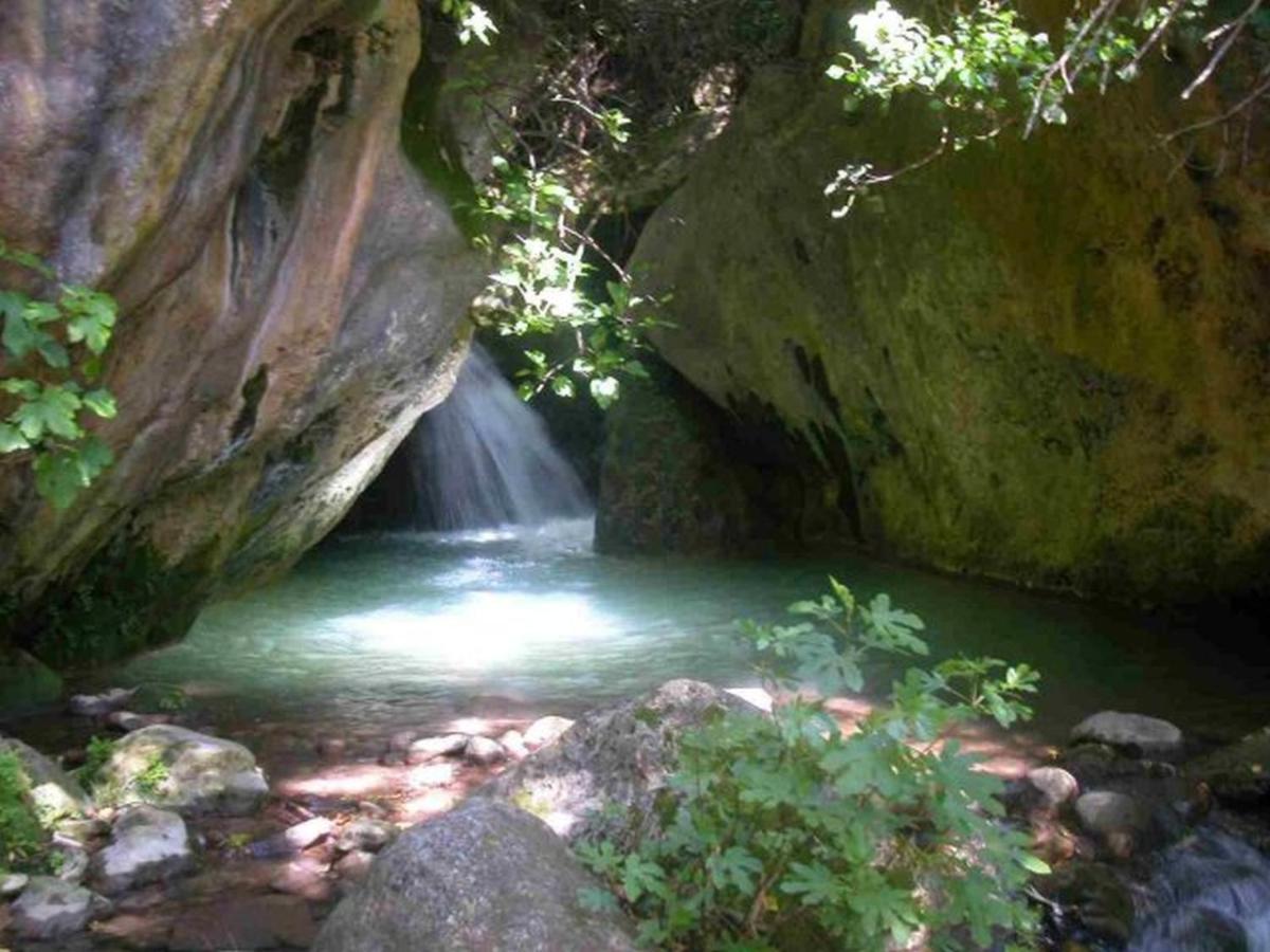 El Pastor Villa Grazalema Luaran gambar
