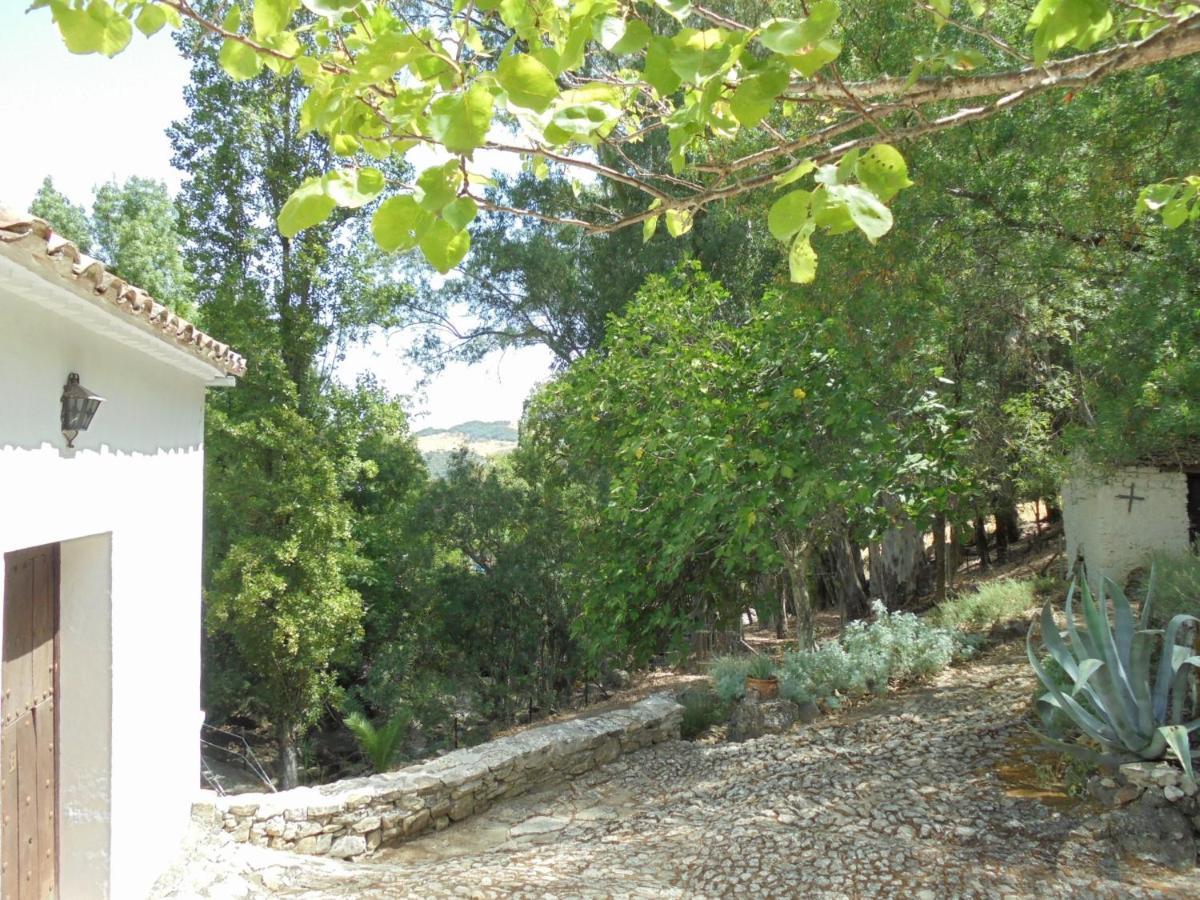 El Pastor Villa Grazalema Luaran gambar